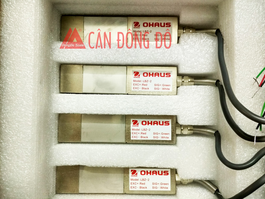 Loadcell cân sàn Đông Đô với bộ thiết bị Ohaus (DD.31P-Ohaus)