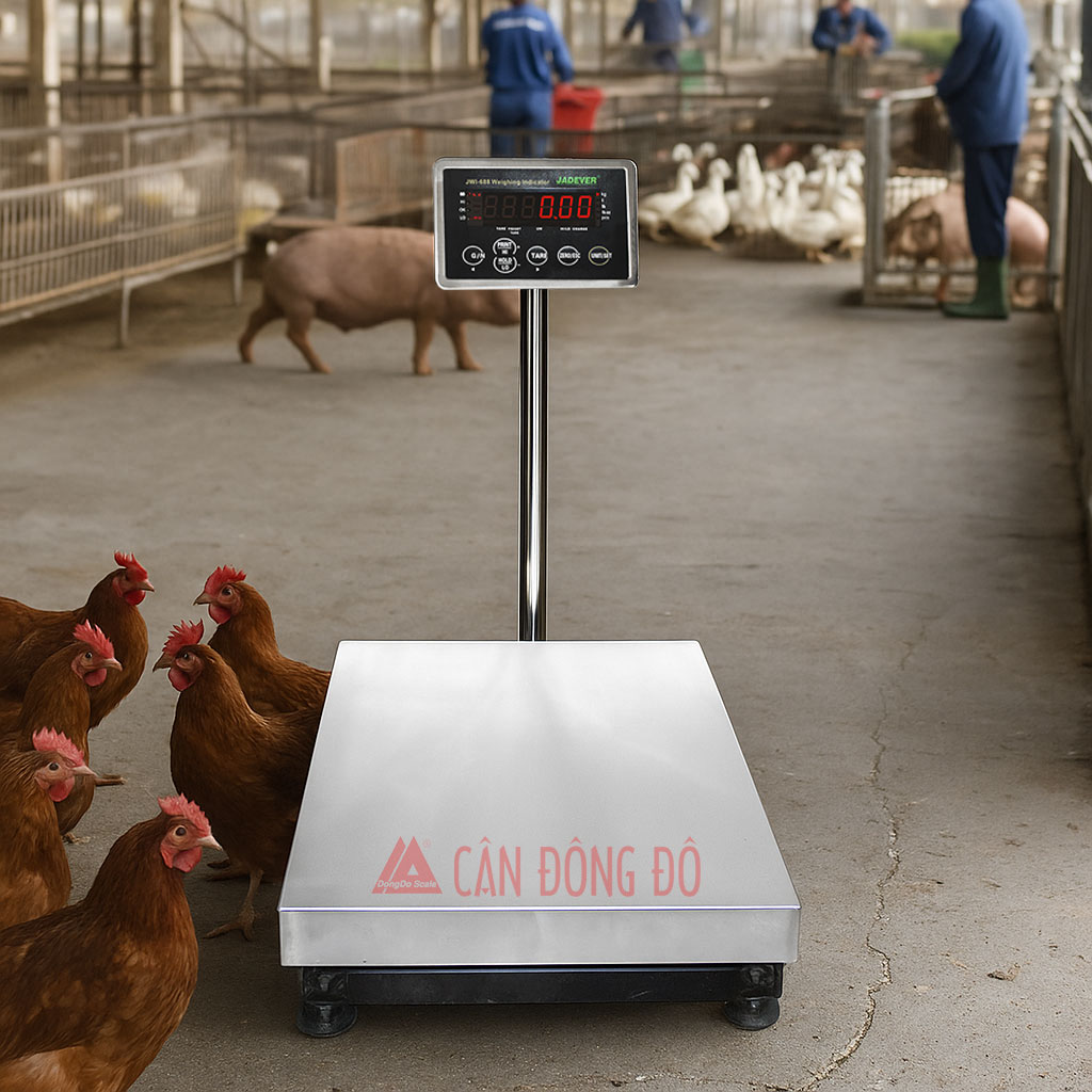 Cân động vật chính xác Jadever JWI-688 (50kg, 100kg, 150kg, 300kg, 500kg)