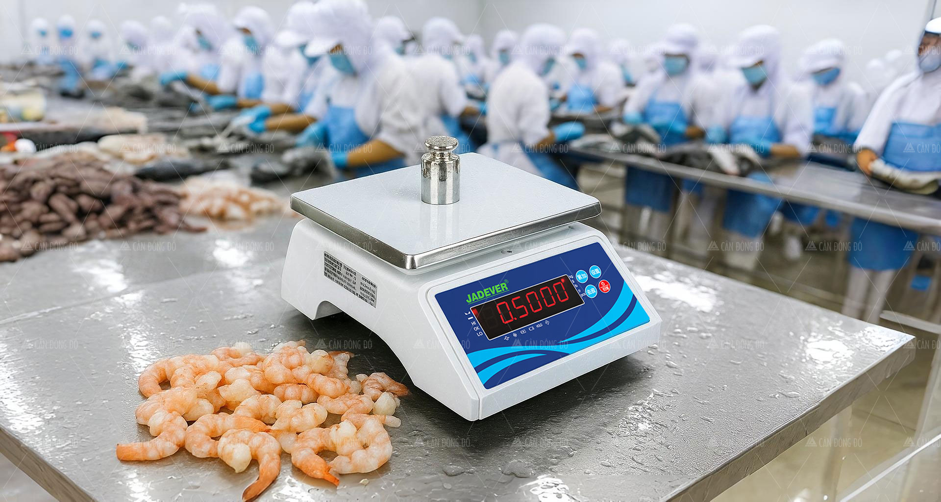 Cân Thủy Sản Jadever JWP II Chống Nước, Chống Nhiễm Bẩn