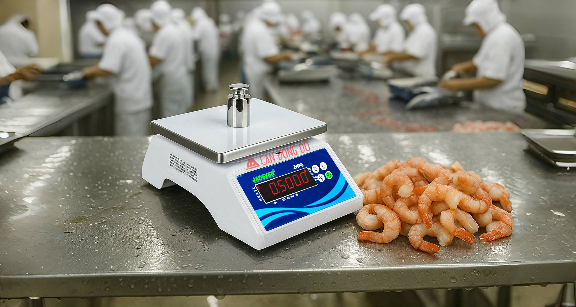 Cân Chống Nước Jadever JWP II – Giải Pháp Cân Đo Hoàn Hảo Cho Ngành Thủy Sản và Hải Sản