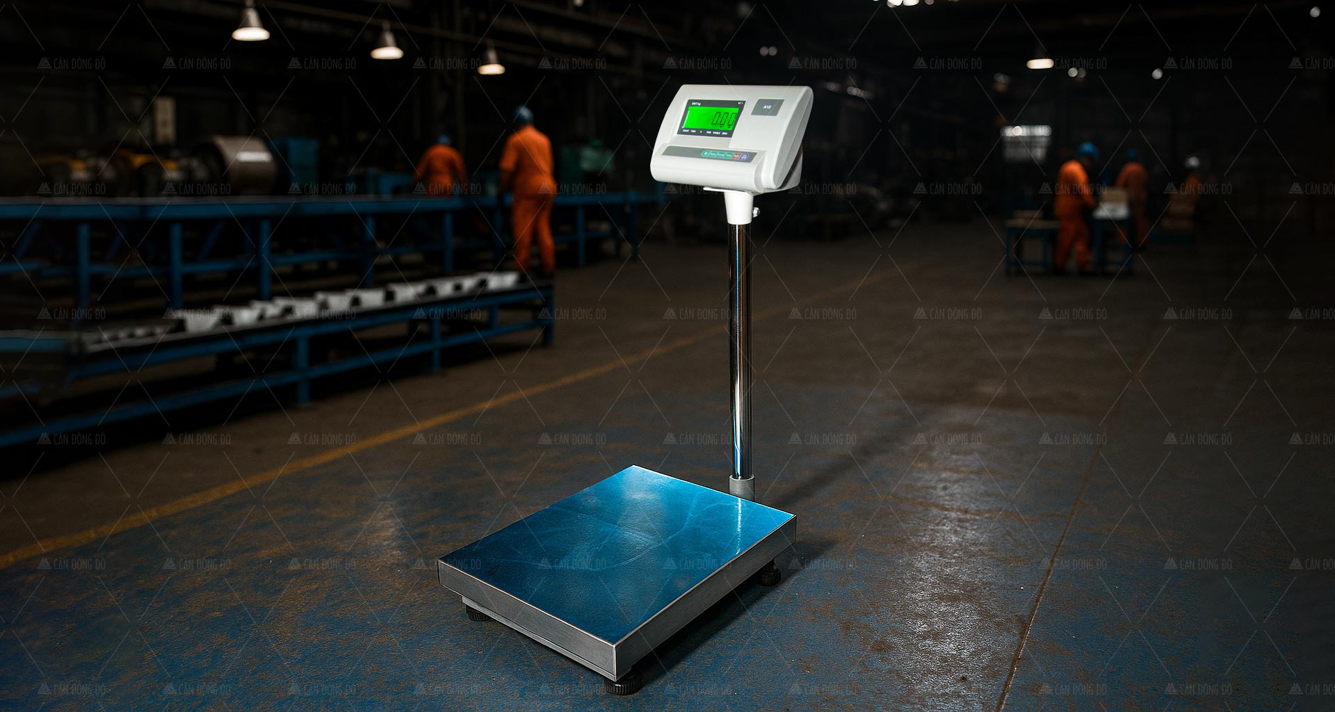 Cân Bàn Đông Đô DL-150 (50kg/100kg/150kg)