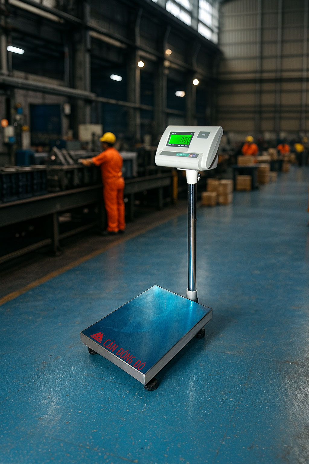 Cân bàn điện tử DL-150 giá rẻ (50kg, 100kg, 150kg)