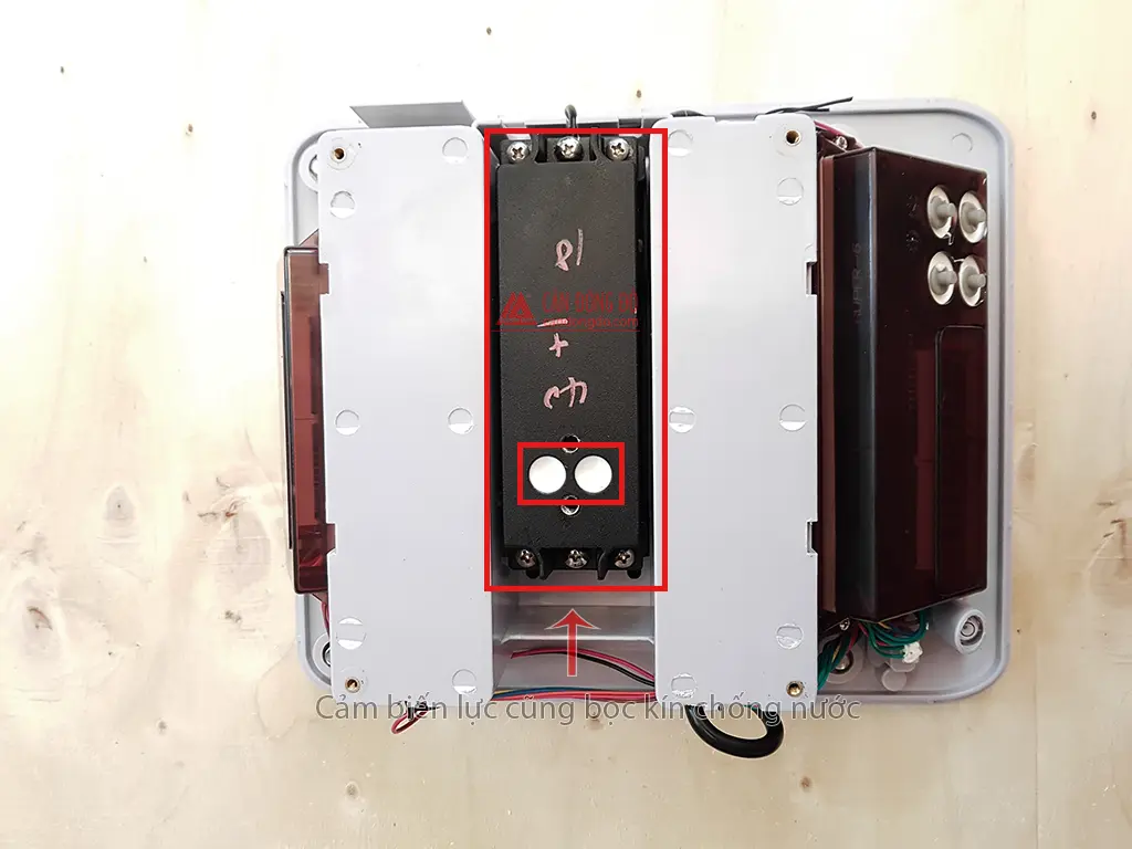 Cân Thủy Sản JWP Jadever
